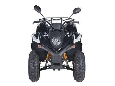 купить Квадроцикл BALTMOTORS Jam 100 в Мичуринске - фото 