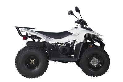 купить Квадроцикл BALTMOTORS Jam 100 в Мичуринске - фото 