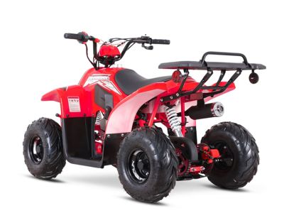 купить Квадроцикл SHARMAX 130 Cross во Владивостоке - фото 
