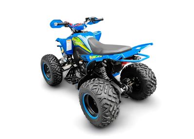 купить Квадроцикл RACER TYPHOON 250 в Липецке - фото 