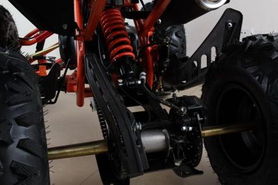 купить Квадроцикл MOTAX ATV T-Rex Super LUX 50 cc в Мичуринске - фото 