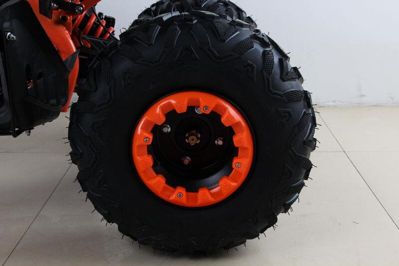 купить Квадроцикл MOTAX ATV T-Rex Super LUX 50 cc в Мичуринске - фото 