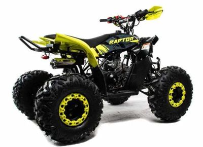 купить Квадроцикл MOTOLAND 125 RAPTOR в Дербенте - фото 