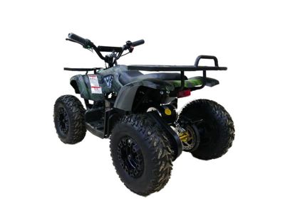 купить Электроквадроцикл MOTAX Grizlik X16 New E1000 Big Wheel Сочи - фото 