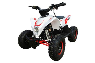 Квадроцикл MOTAX GEKKON 90cc в Назрани