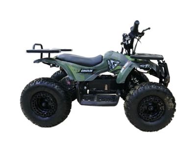 купить Электроквадроцикл MOTAX Grizlik X16 New E1000 Big Wheel Сочи - фото 