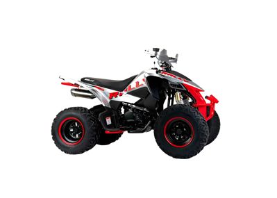 купить Квадроцикл Motoland RALLY 250 в Омске - фото 
