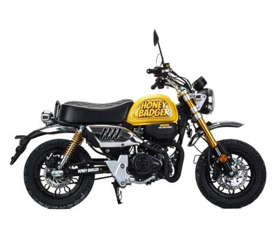 Мотоцикл MOTOLAND Monkey 150 PITBIKE в Коврове
