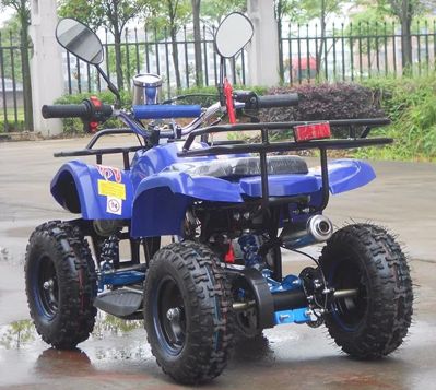 купить Квадроцикл RAPTOR MAX PRO 49cc (2022) в Красноярске - фото 