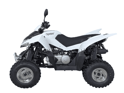 купить Квадроцикл SYM QuadRaider 300 SD в Мичуринске - фото 