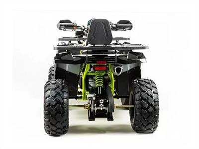 купить Квадроцикл MOTOLAND 200 Wild Track Pro в Мичуринске - фото 
