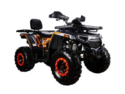 купить Квадроцикл AVANTIS H250 BIG NEW Basic в Королеве - фото 