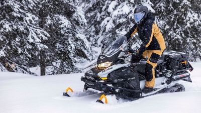 купить Снегоход BRP Ski-Doo Skandic LE 20″ 900 Ace (2023) в Москве - фото 