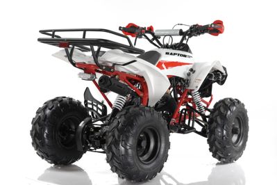 купить Квадроцикл MOTAX ATV Raptor Super LUX 125 cc в Бахчисарае - фото 