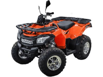купить Квадроцикл MOTOLAND ATV 200 MAX в Батайске - фото 