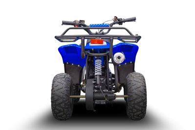 купить Квадроцикл TIGER 150 Universal RX в Чите - фото 
