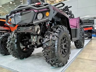 купить Квадроцикл АОДЕС Pathcross MAX 1000 LTD (2025) Сочи - фото 