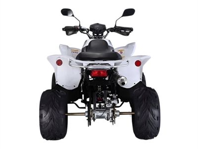 купить Квадроцикл RATO RТ250SТ-2 в Красноярске - фото 