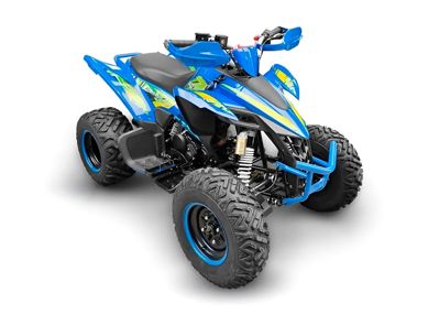 купить Квадроцикл RACER TYPHOON 250 в Липецке - фото 