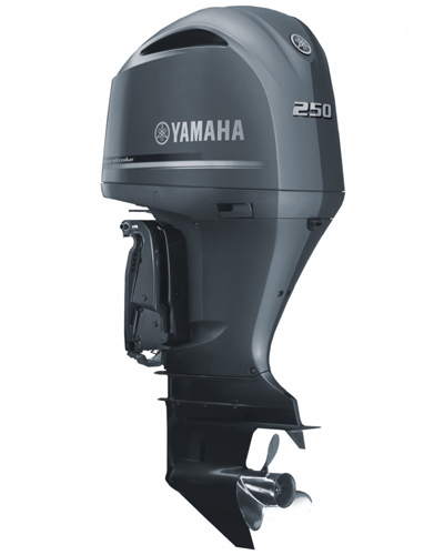 купить 4х-тактный лодочный мотор YAMAHA F250 DETX в Самаре - фото 