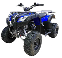 купить Квадроцикл MOTAX ATV Grizlik 200 Б/У в Москве - фото 