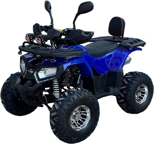 купить Квадроцикл GRIZZLY Aerox 125cc New 2022 в Благовещенске - фото 