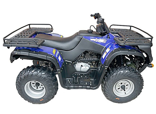 купить Квадроцикл ARMADA ATV 250L в Москве - фото 