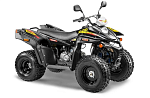 купить Квадроцикл STELS ATV 110A HUGO Б/У в Москве - фото 