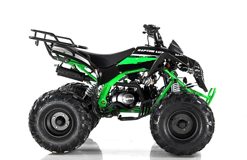 купить Квадроцикл MOTAX ATV Raptor-LUX 125 сс в Благовещенске - фото 