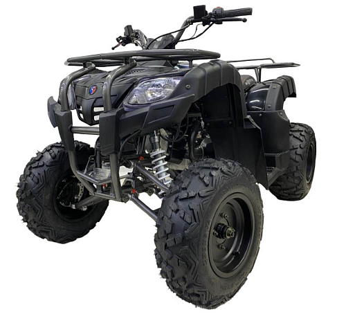 купить Квадроцикл MOTAX ATV Grizlik 200 в Орле - фото 