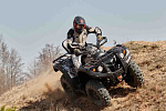 купить Квадроцикл BALTMOTORS Striker 400 EFI Б/У в Москве - фото 